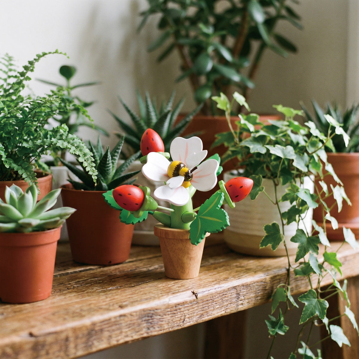 Strawberry Flower Pot